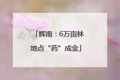 辉南：6万亩林地点“药”成金