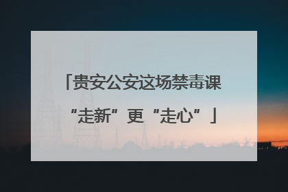 贵安公安这场禁毒课“走新”更“走心”