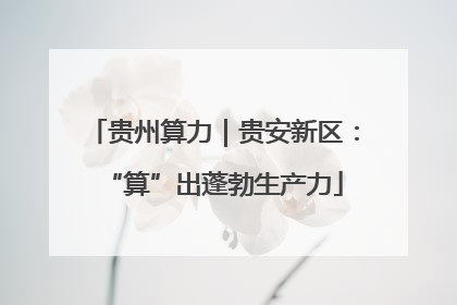 贵州算力｜贵安新区：“算”出蓬勃生产力