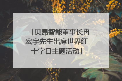 贝昂智能董事长冉宏宇先生出席世界红十字日主题活动