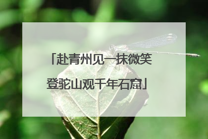 赴青州见一抹微笑 登驼山观千年石窟
