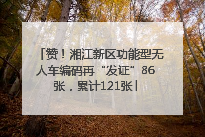 赞！湘江新区功能型无人车编码再“发证”86张，累计121张