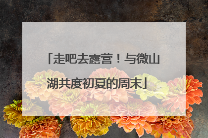 走吧去露营！与微山湖共度初夏的周末