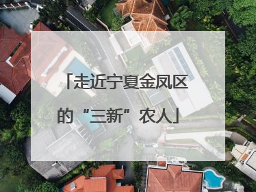 走近宁夏金凤区的“三新”农人