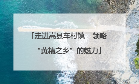 走进嵩县车村镇—领略“黄精之乡”的魅力