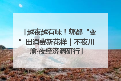 越夜越有味！郫都“变”出消费新花样｜不夜川渝·夜经济调研行