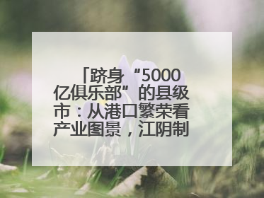 跻身“5000亿俱乐部”的县级市：从港口繁荣看产业图景，江阴制造链通全球