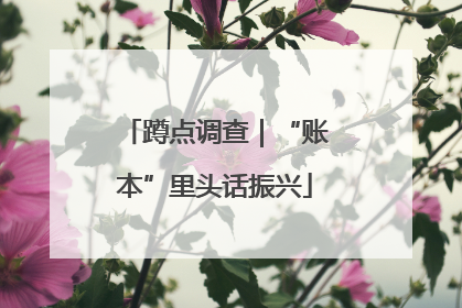 蹲点调查｜“账本”里头话振兴