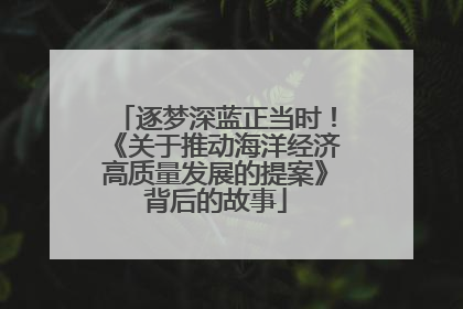 逐梦深蓝正当时！《关于推动海洋经济高质量发展的提案》背后的故事