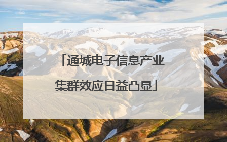 通城电子信息产业集群效应日益凸显