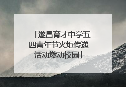 遂昌育才中学五四青年节火炬传递活动燃动校园