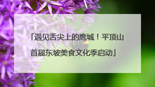 遇见舌尖上的鹰城！平顶山首届东坡美食文化季启动