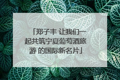 郑子丰 让我们一起共筑宁夏葡萄酒旅游 的国际新名片