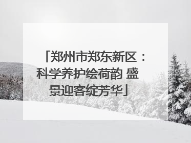 郑州市郑东新区：科学养护绘荷韵 盛景迎客绽芳华