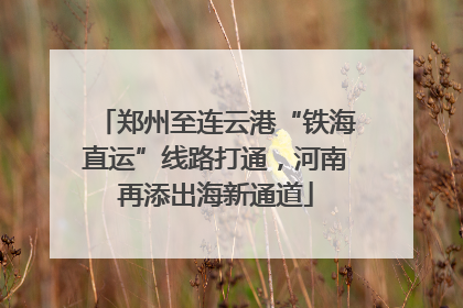 郑州至连云港“铁海直运”线路打通，河南再添出海新通道