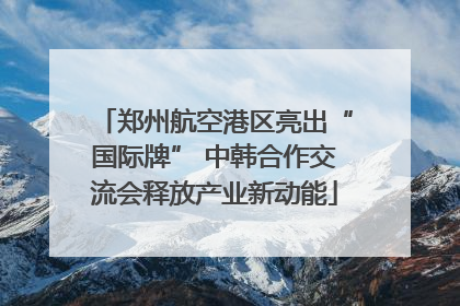 郑州航空港区亮出“国际牌” 中韩合作交流会释放产业新动能