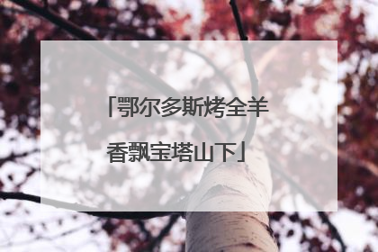 鄂尔多斯烤全羊香飘宝塔山下