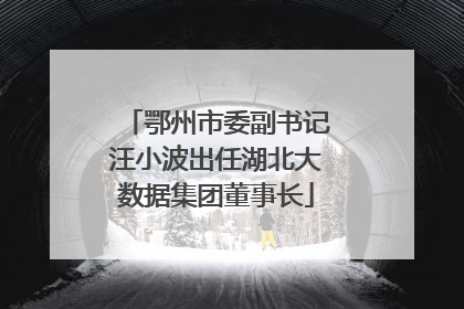 鄂州市委副书记汪小波出任湖北大数据集团董事长