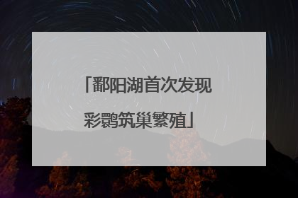 鄱阳湖首次发现彩鹮筑巢繁殖