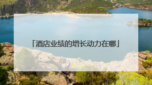 酒店业绩的增长动力在哪