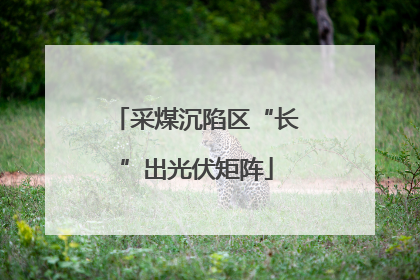 采煤沉陷区“长”出光伏矩阵