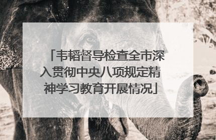 韦韬督导检查全市深入贯彻中央八项规定精神学习教育开展情况