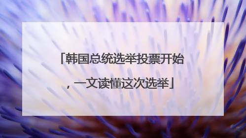 韩国总统选举投票开始，一文读懂这次选举