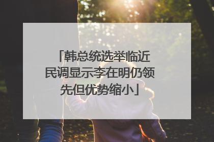 韩总统选举临近 民调显示李在明仍领先但优势缩小