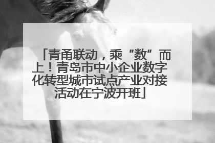 青甬联动，乘“数”而上！青岛市中小企业数字化转型城市试点产业对接活动在宁波开班