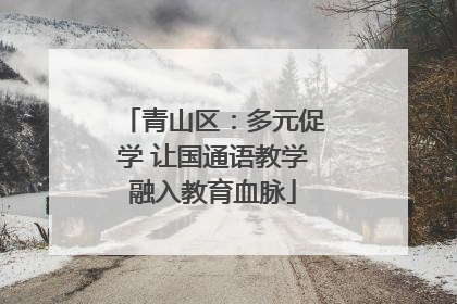 青山区：多元促学 让国通语教学融入教育血脉