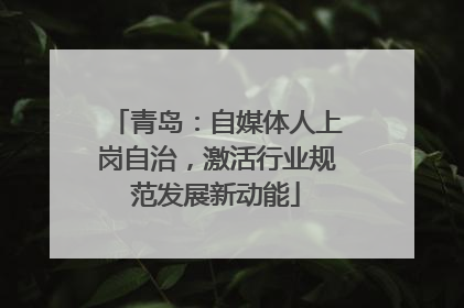 青岛：自媒体人上岗自治，激活行业规范发展新动能