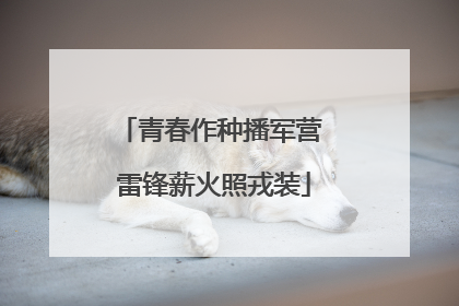 青春作种播军营 雷锋薪火照戎装