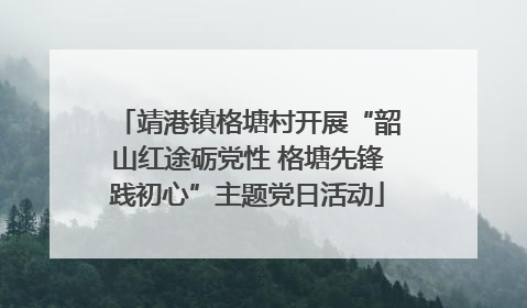 靖港镇格塘村开展“韶山红途砺党性 格塘先锋践初心”主题党日活动