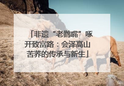 非遗“老鹳嘴”啄开致富路：会泽高山苦荞的传承与新生