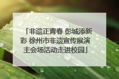 非遗正青春 彭城添新彩 徐州市非遗宣传展演主会场活动走进校园