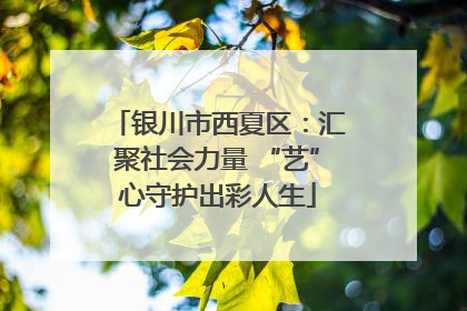 银川市西夏区：汇聚社会力量 “艺”心守护出彩人生