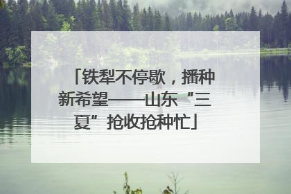 铁犁不停歇，播种新希望——山东“三夏”抢收抢种忙
