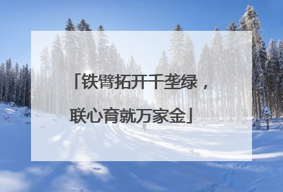 铁臂拓开千垄绿，联心育就万家金