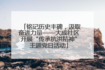 铭记历史丰碑，汲取奋进力量——大成社区开展“传承抗洪精神”主题党日活动