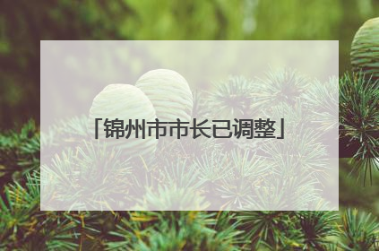 锦州市市长已调整