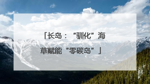 长岛：“驯化”海草赋能“零碳岛”