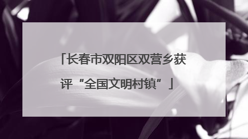 长春市双阳区双营乡获评“全国文明村镇”