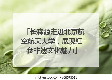 长森源走进北京航空航天大学，展现红参非遗文化魅力
