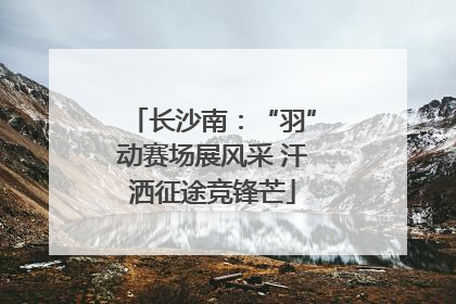 长沙南：“羽”动赛场展风采 汗洒征途竞锋芒