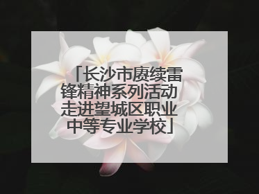 长沙市赓续雷锋精神系列活动走进望城区职业中等专业学校