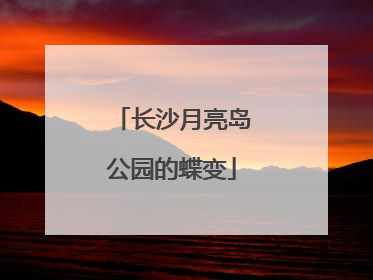 长沙月亮岛公园的蝶变