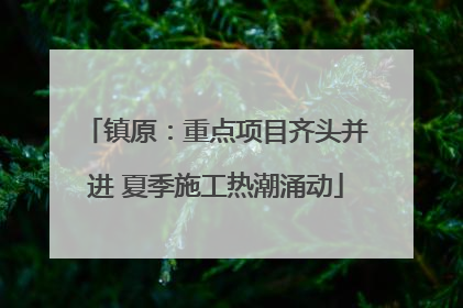 镇原：重点项目齐头并进 夏季施工热潮涌动