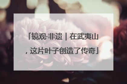 镜观·非遗｜在武夷山，这片叶子创造了传奇