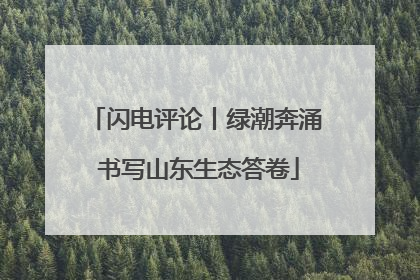 闪电评论丨绿潮奔涌 书写山东生态答卷