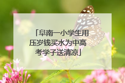 阜南一小学生用压岁钱买水为中高考学子送清凉